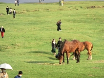 痢
